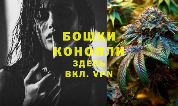 стафф Вуктыл