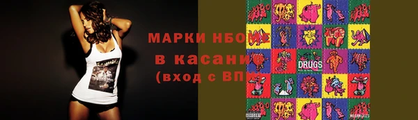 шишки Краснослободск
