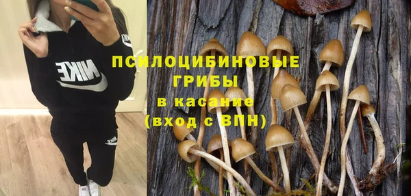 сатива Всеволожск