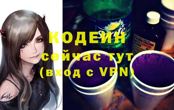 шишки Краснослободск
