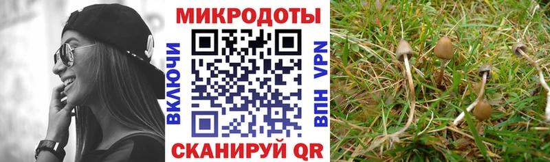 Псилоцибиновые грибы MAGIC MUSHROOMS  где можно купить наркотик  площадка состав  Краснозаводск  ОМГ ОМГ зеркало 